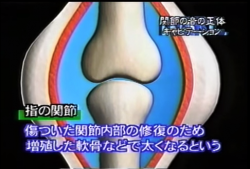 o0486033012928018817
