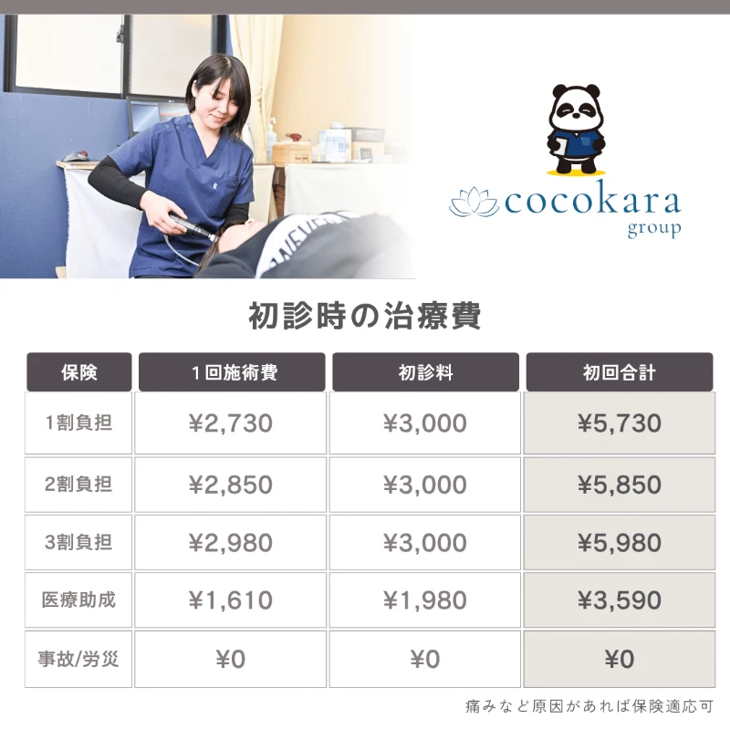 ひがし整骨院・ここから整骨院グループ料金表