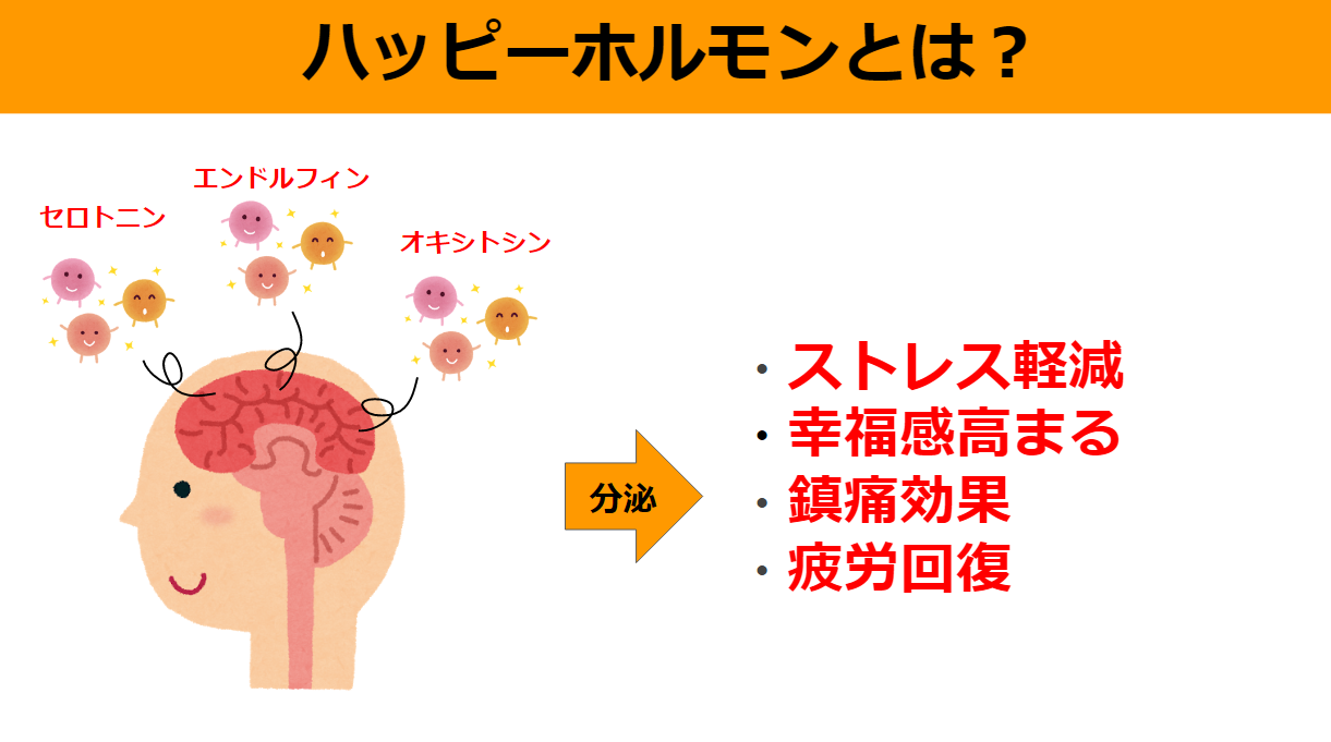 ハッピーホルモン