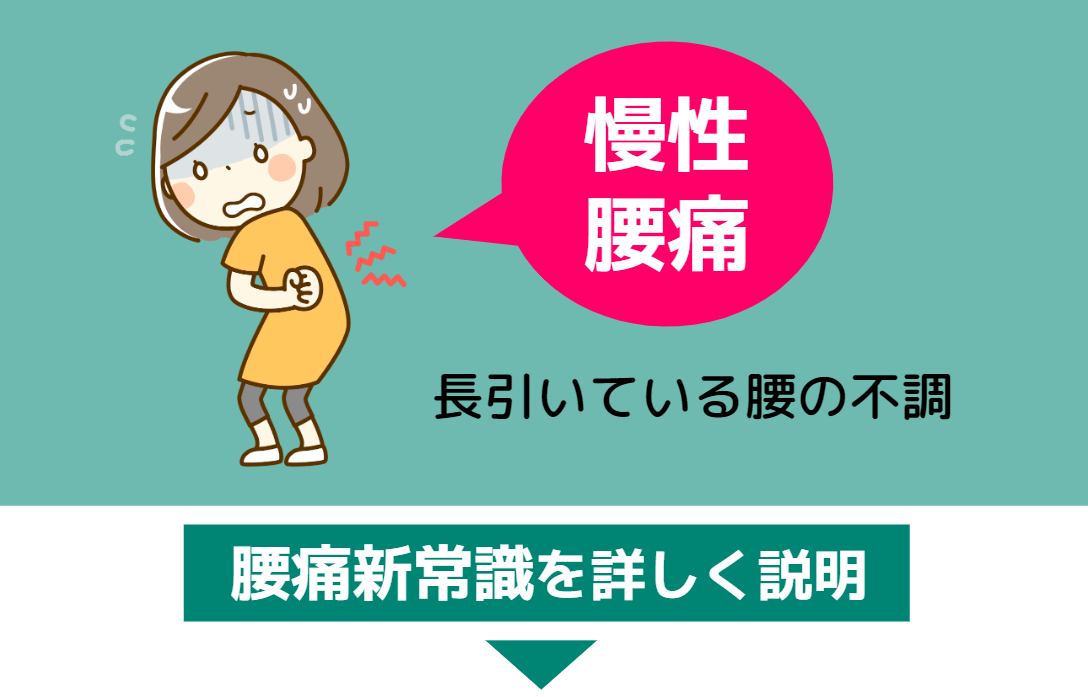 腰痛新常識を詳しく説明